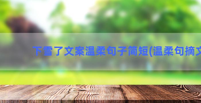 下雪了文案温柔句子简短(温柔句摘文案)