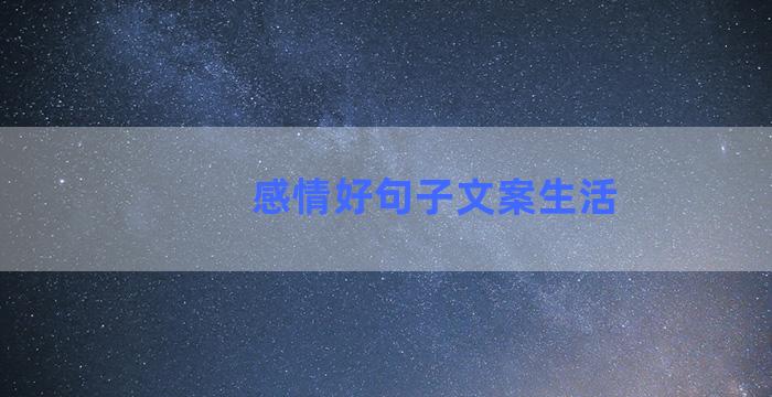 感情好句子文案生活