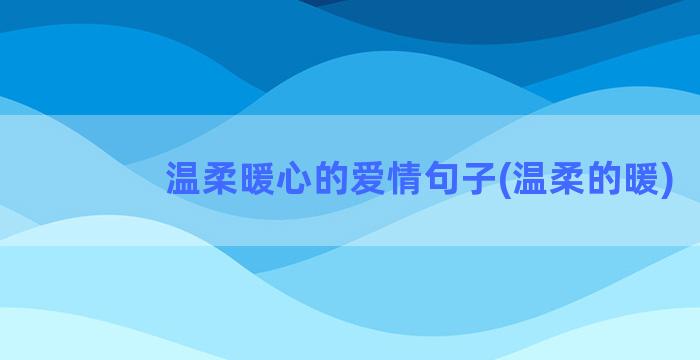 温柔暖心的爱情句子(温柔的暖)