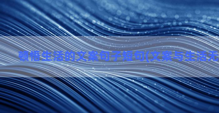 顿悟生活的文案句子短句(文案与生活无关下半句)